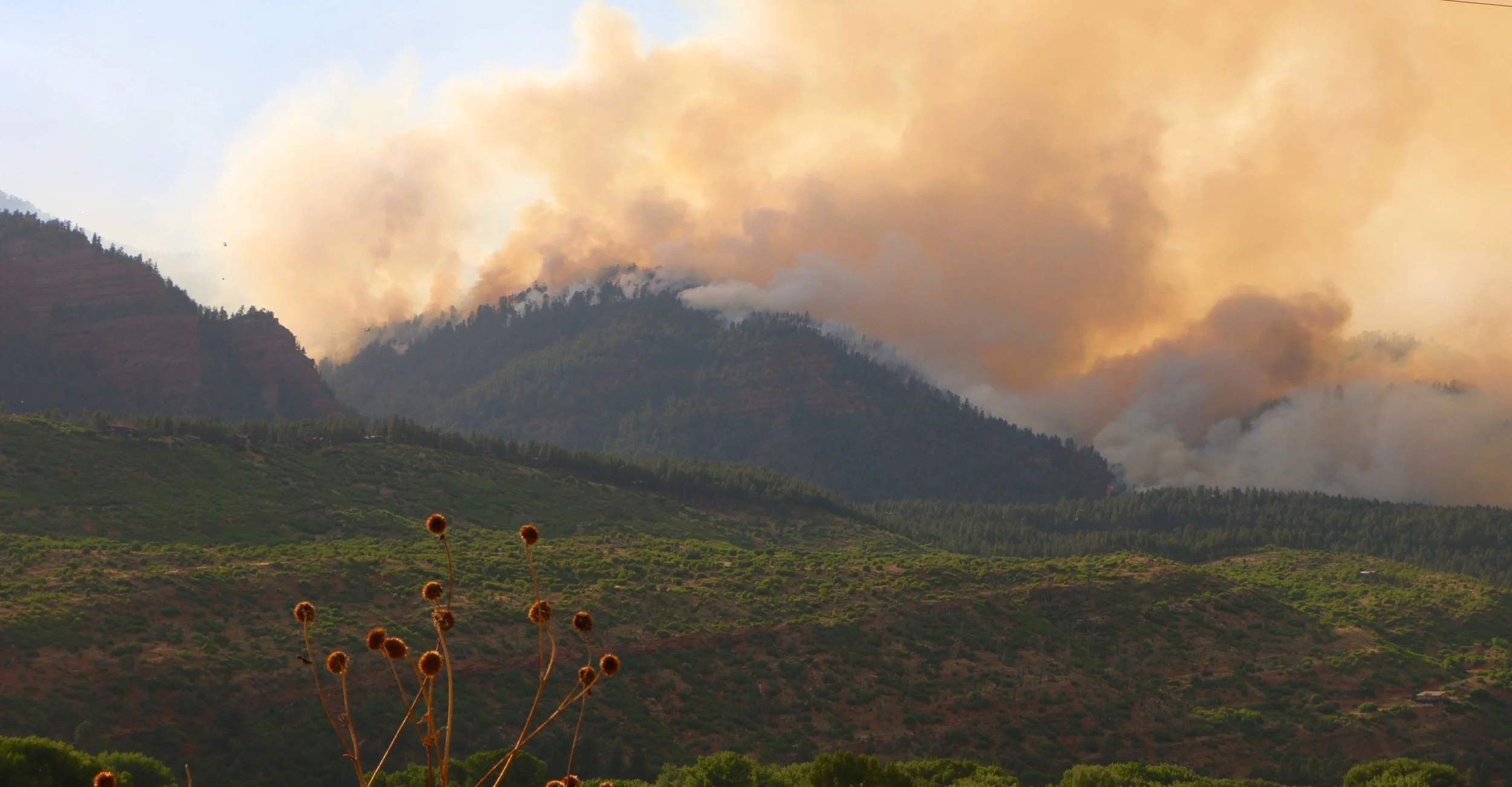 The 416 Fire burns behind an area that burned during the Missionary Ridge Fire, but has begun to regenerate. Photo by Priscilla Sherman.