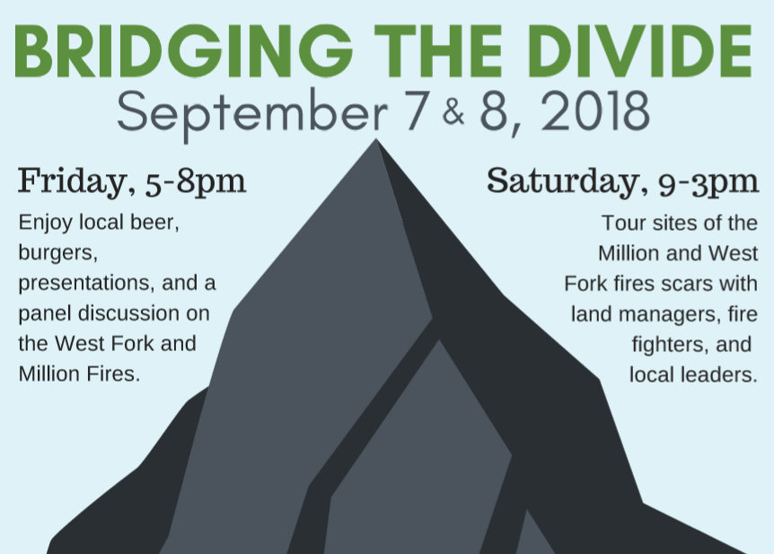 Bridging the Divide: Growing from the Ashes