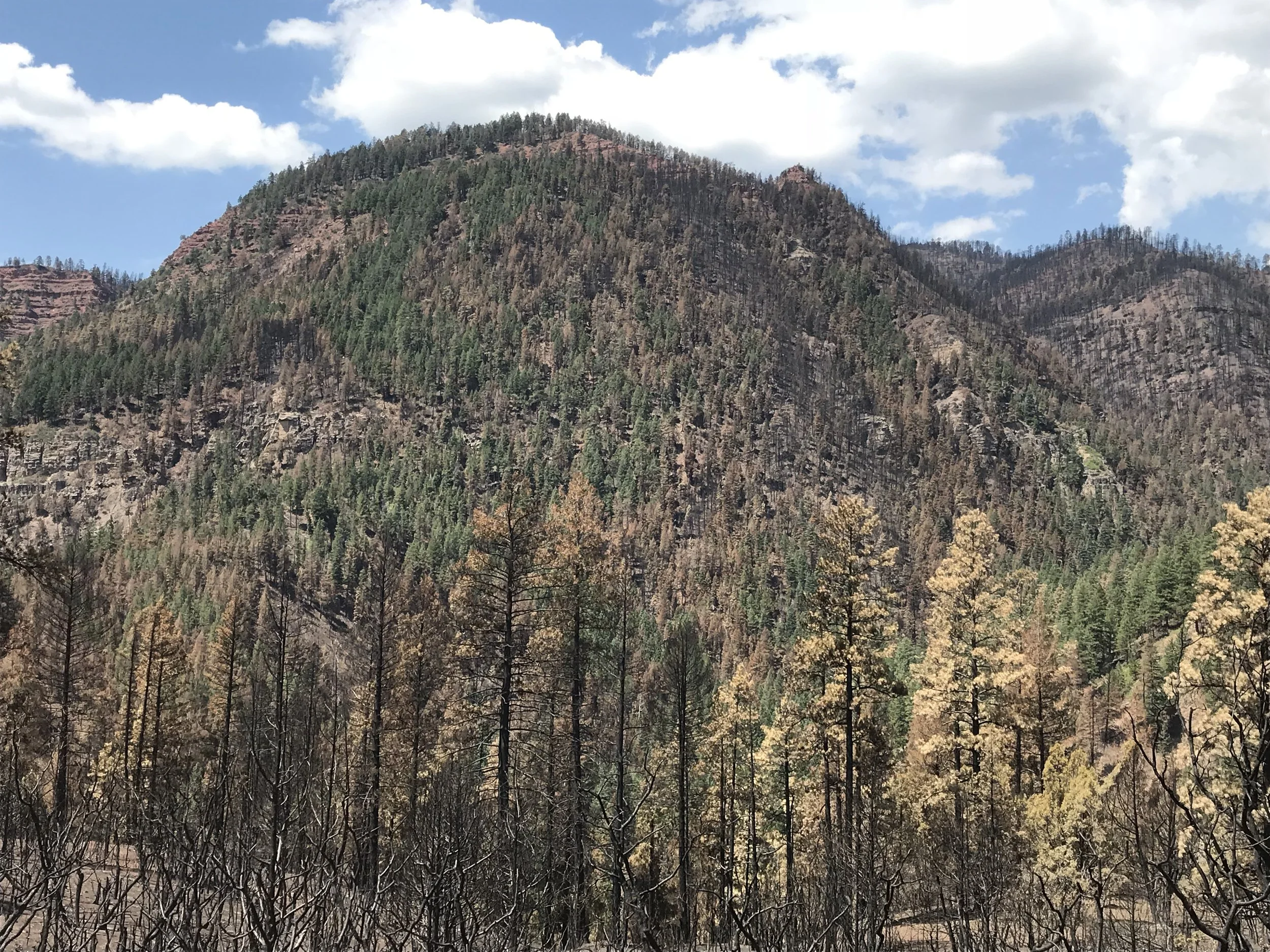 What's Next: 416 Fire Open House