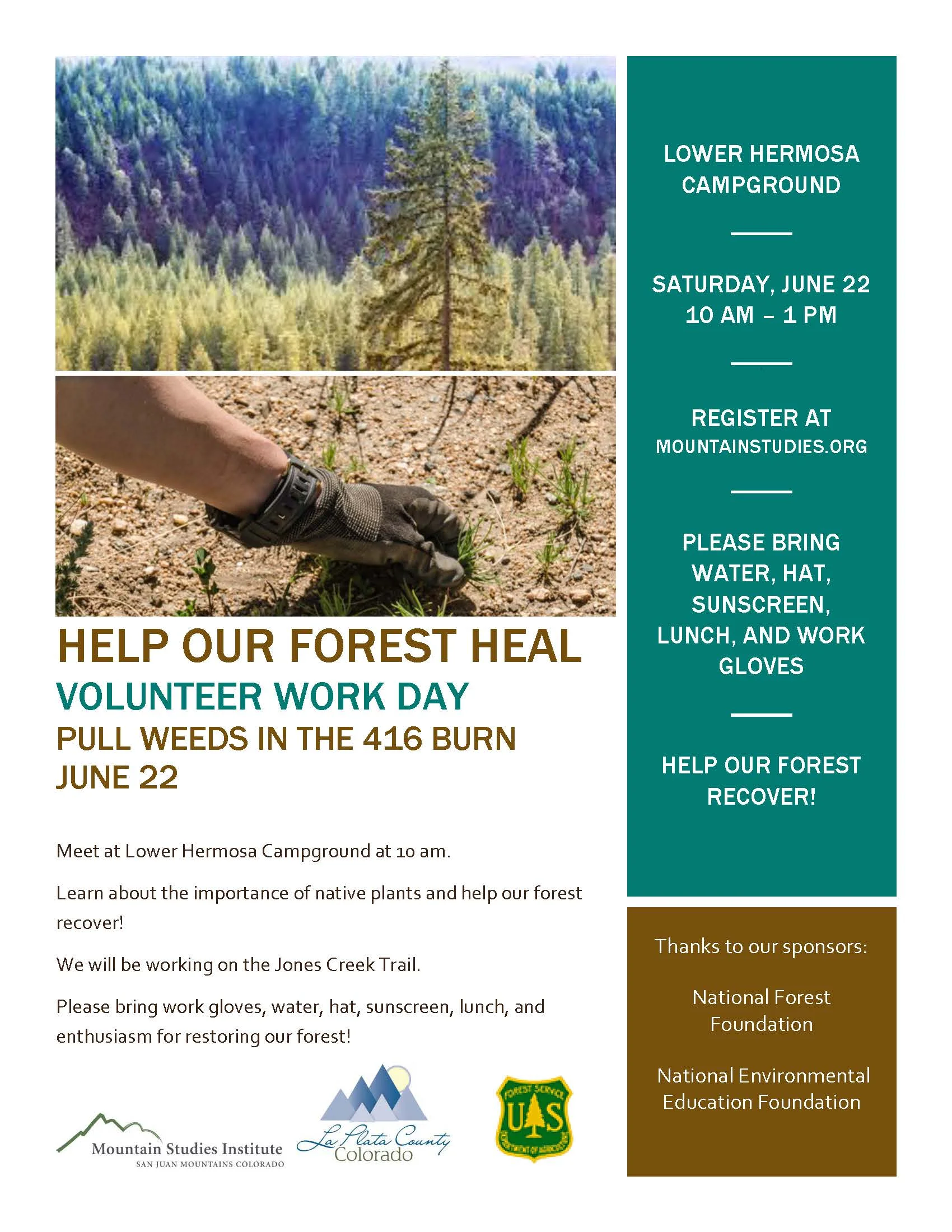 Volunteer Weed Pulling Day on Jones Creek