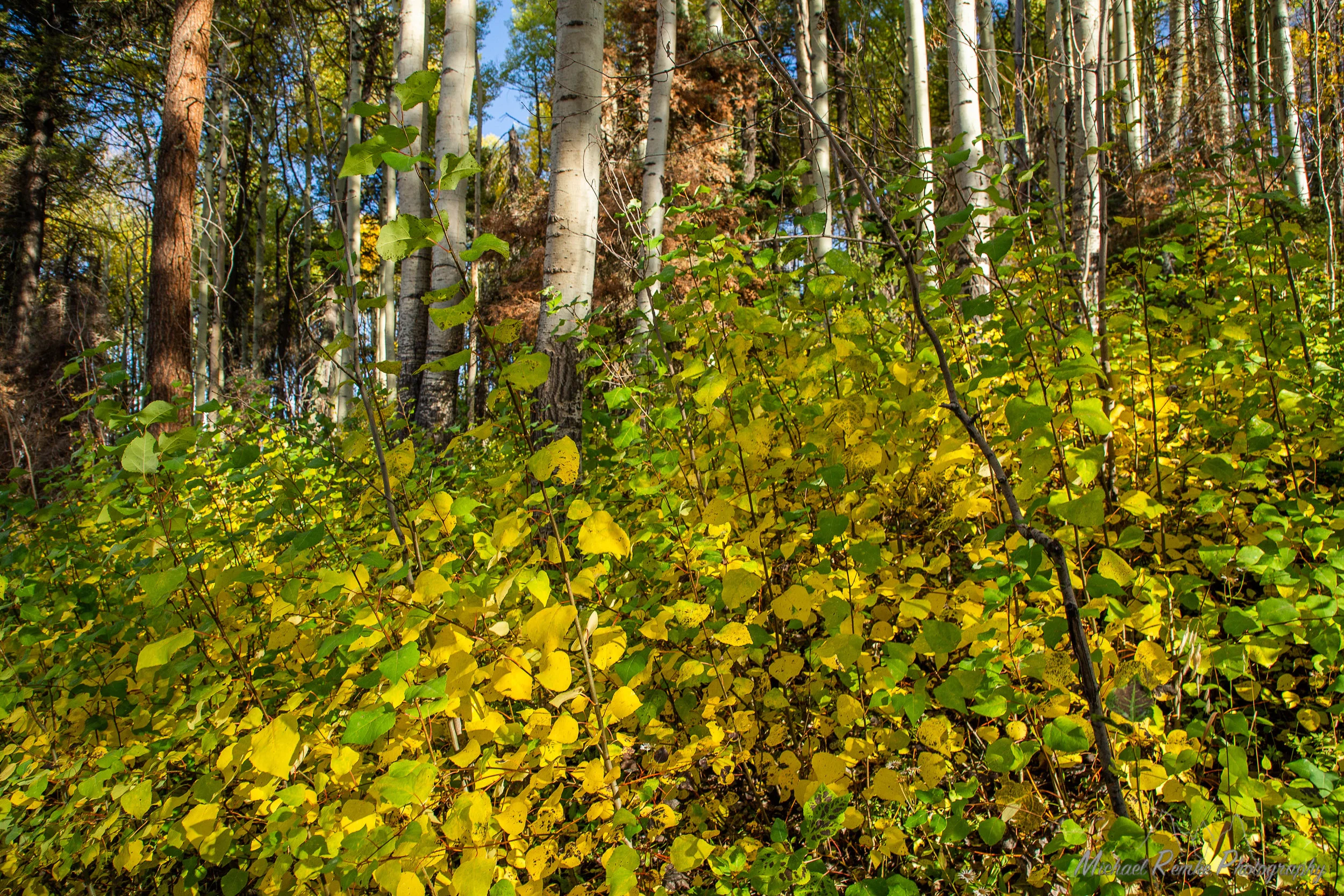 Sustainability Summit by Fort Lewis College