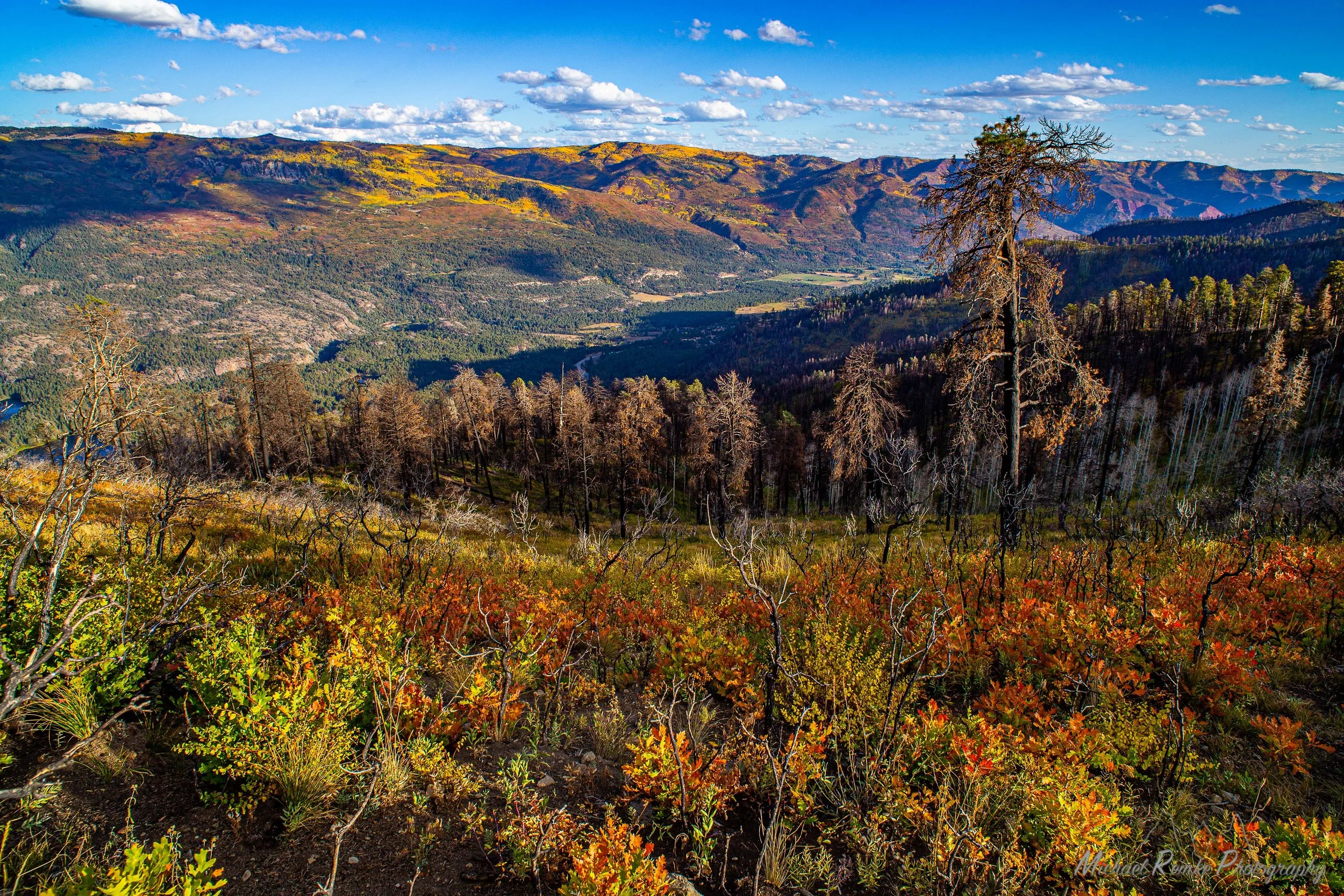 416 Recovery Celebration Featuring Rob Powel