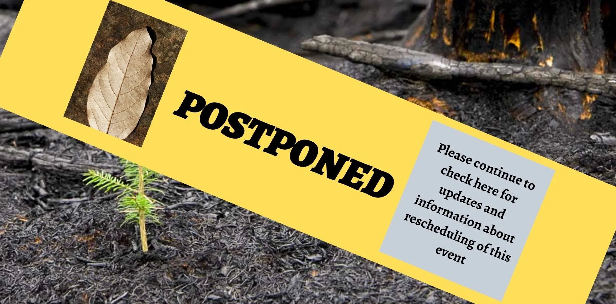 Arbor Day/Earth Day Tree Planting