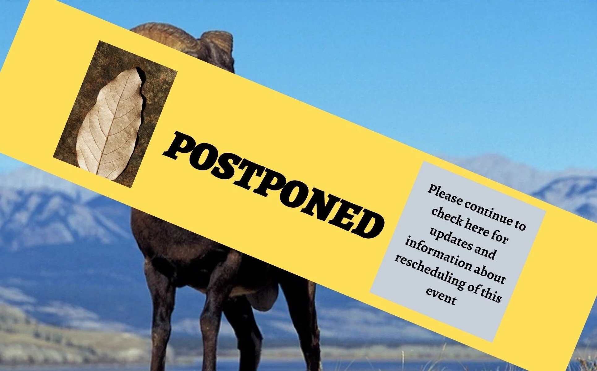 POSTPONED: Bighorns and Wild Public Lands Celebration
