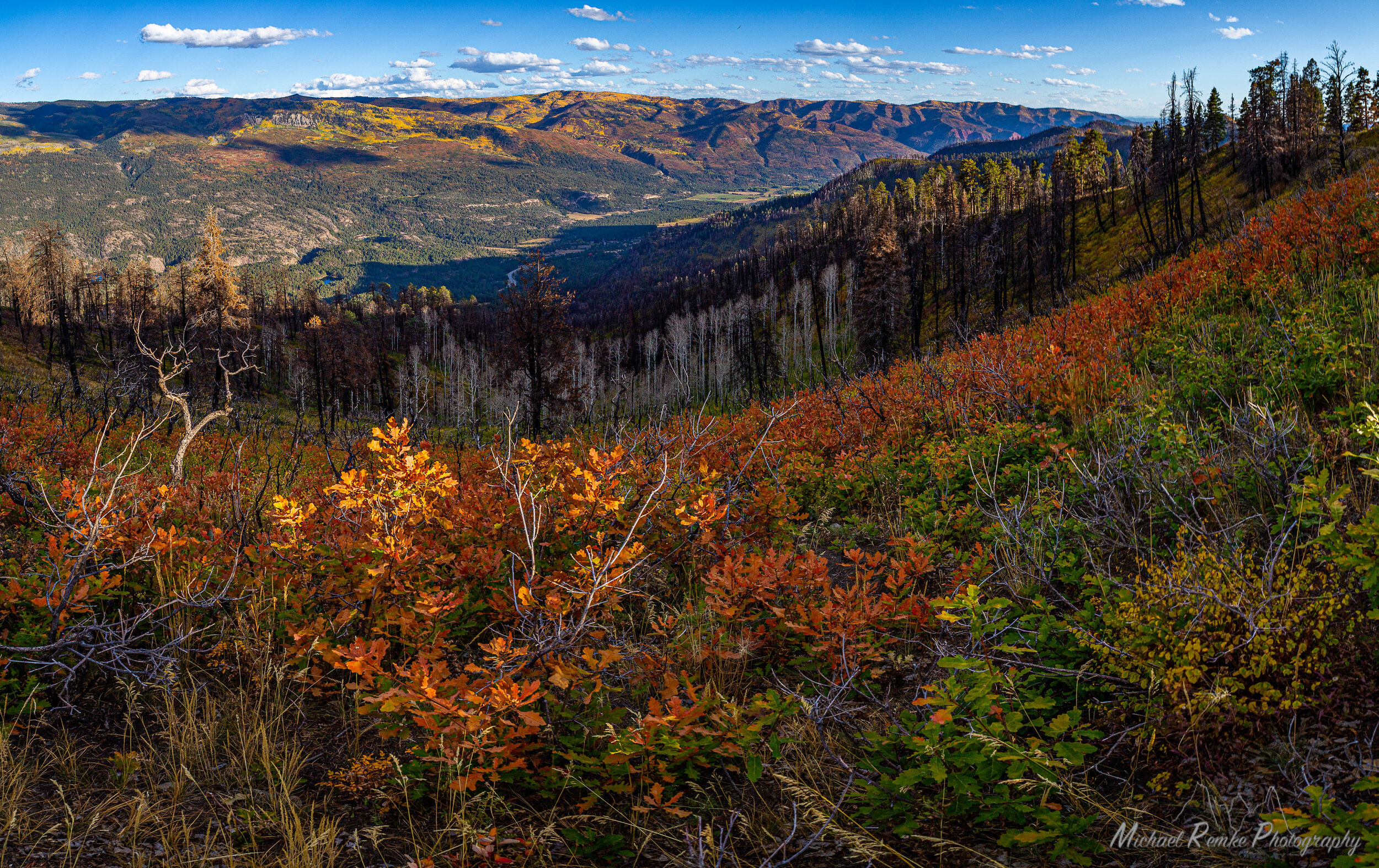 Forest &amp; Fire Learning Series - The Virtual Sessions