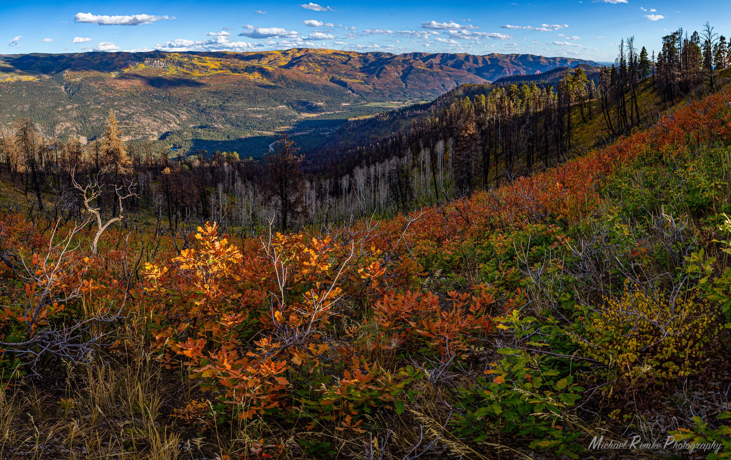 Forest &amp; Fire Learning Series - The Virtual Sessions