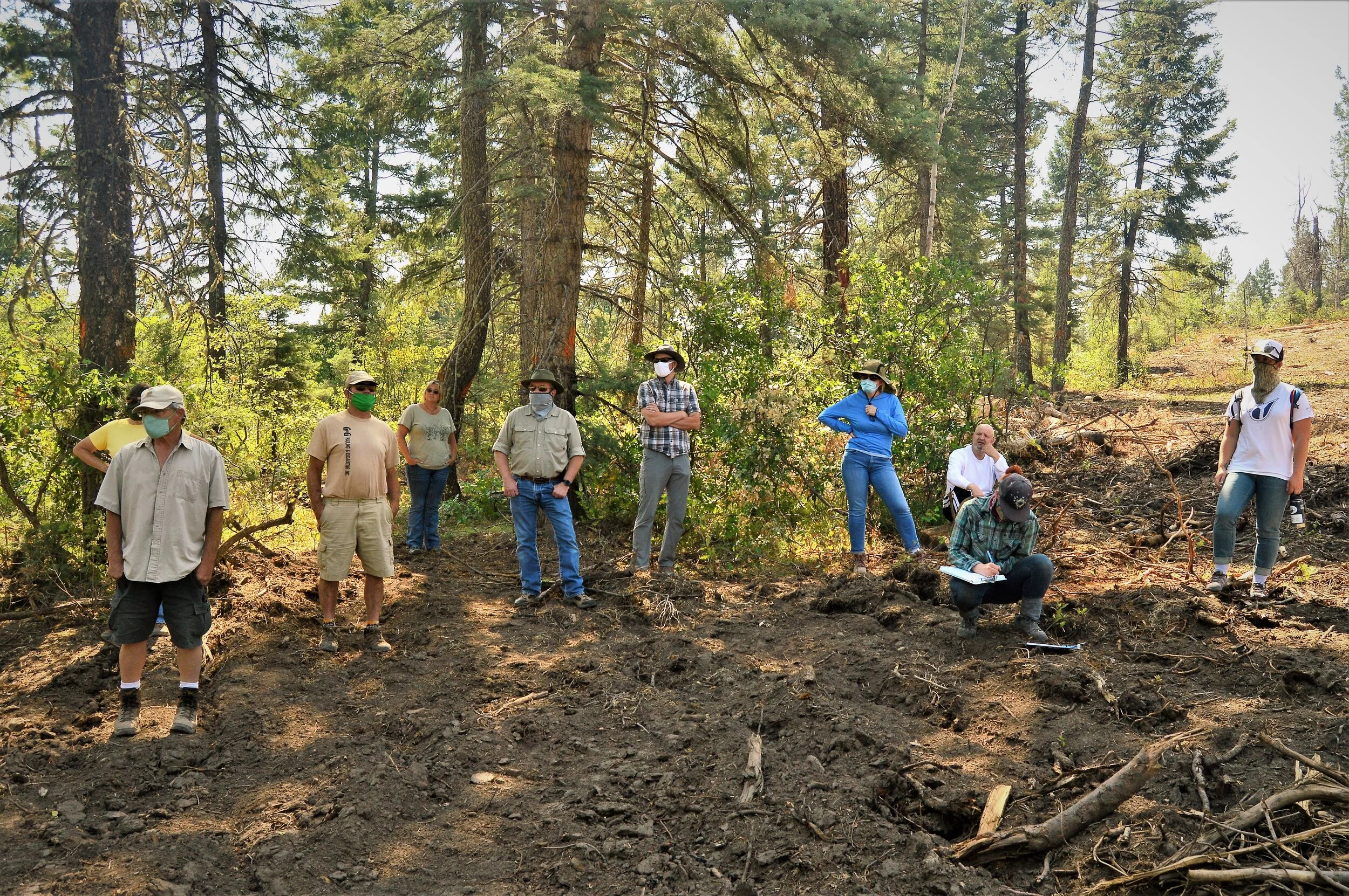 MSI in the field with the San Juan Forest Health Partnership