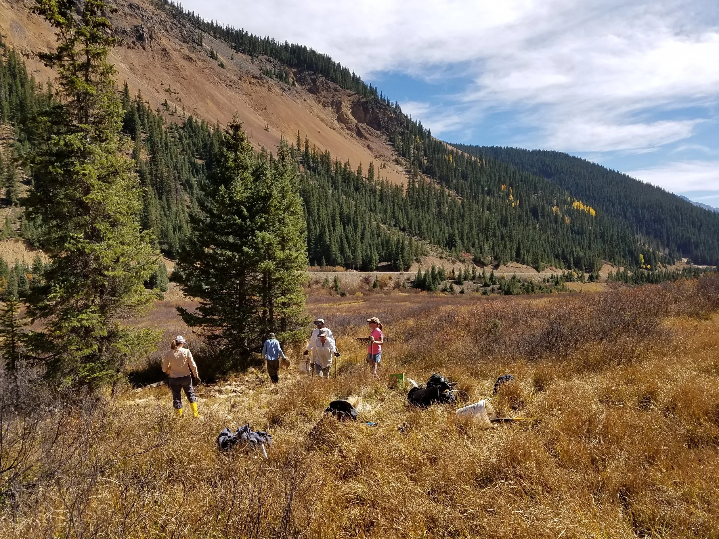Day of Forest Health and Fen Restoration