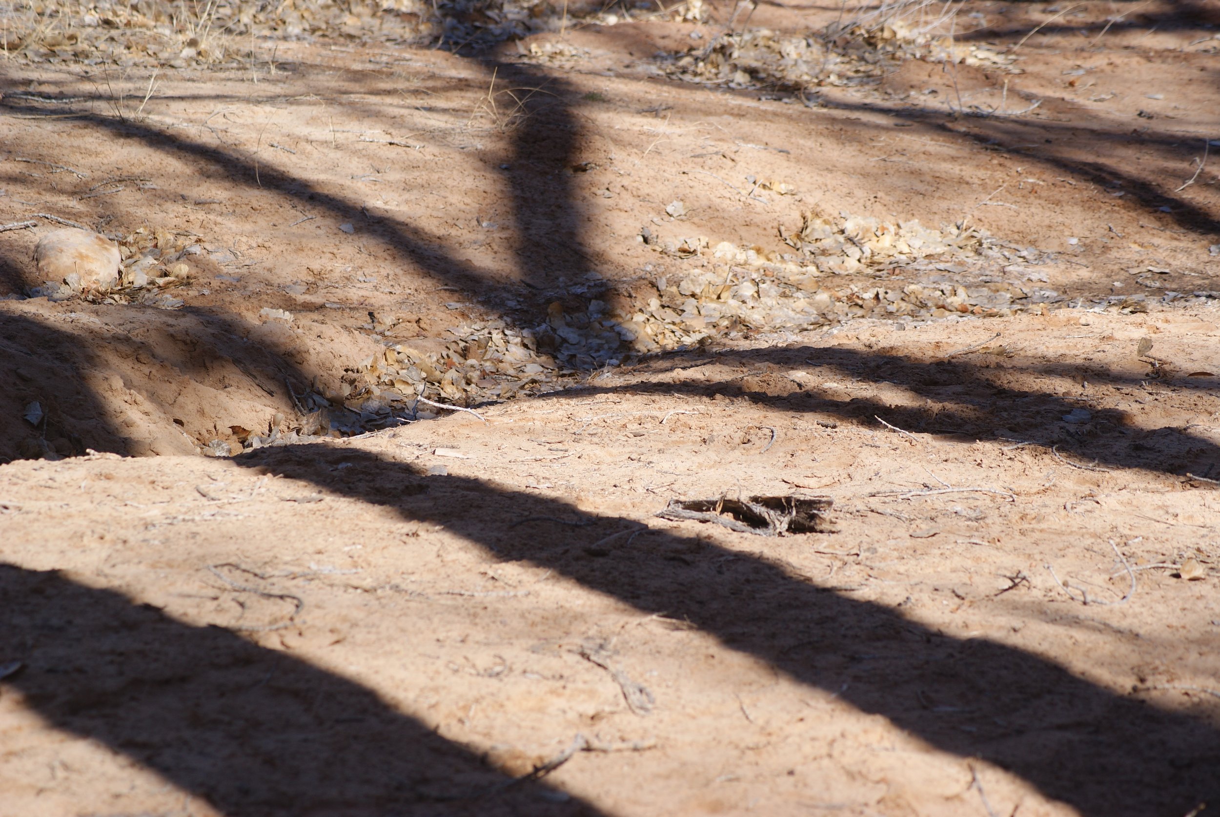 Pathway to Stewardship