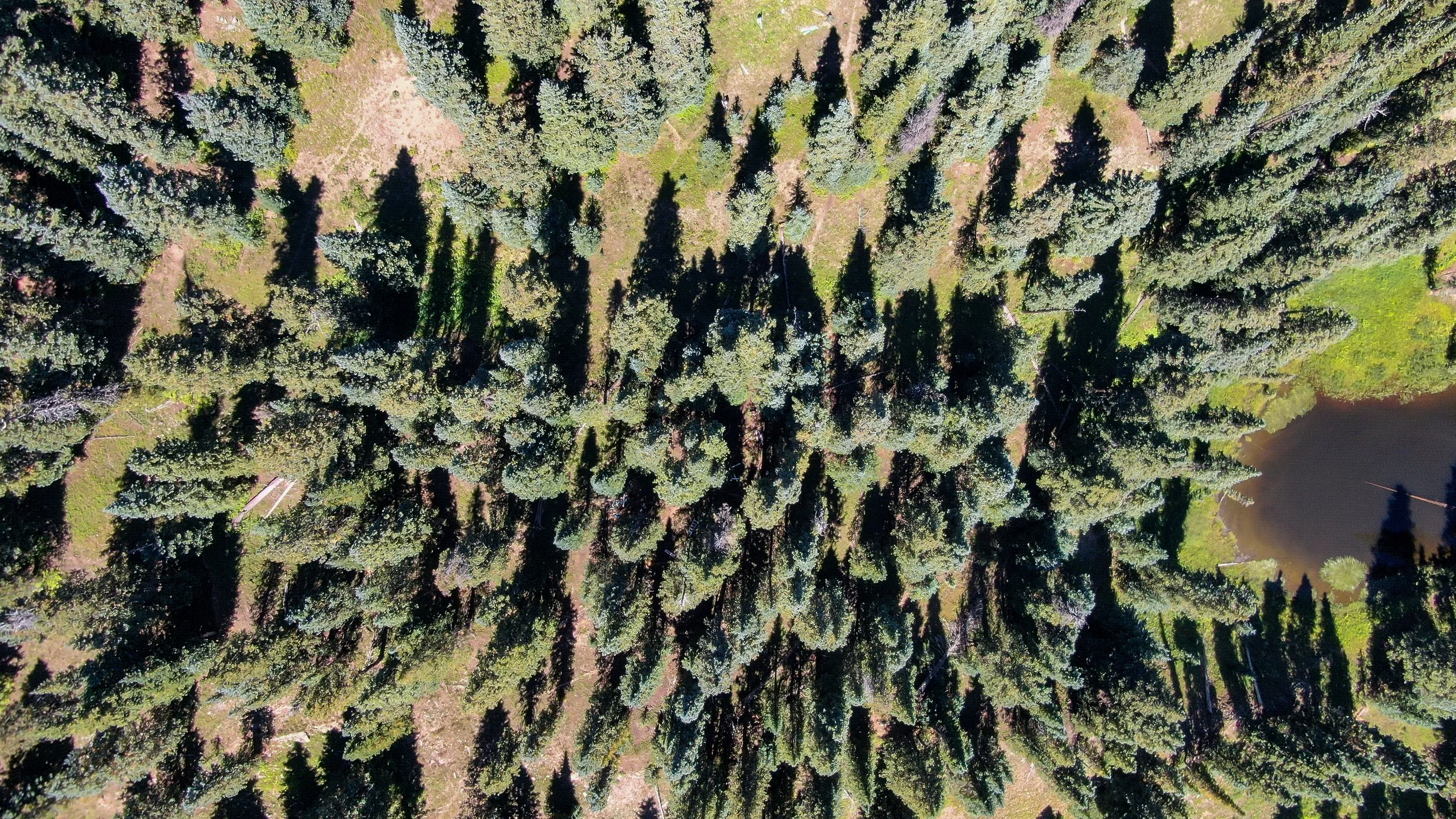 Red Mountain Snowtography Drone 9.8.23 Edit-4.jpg