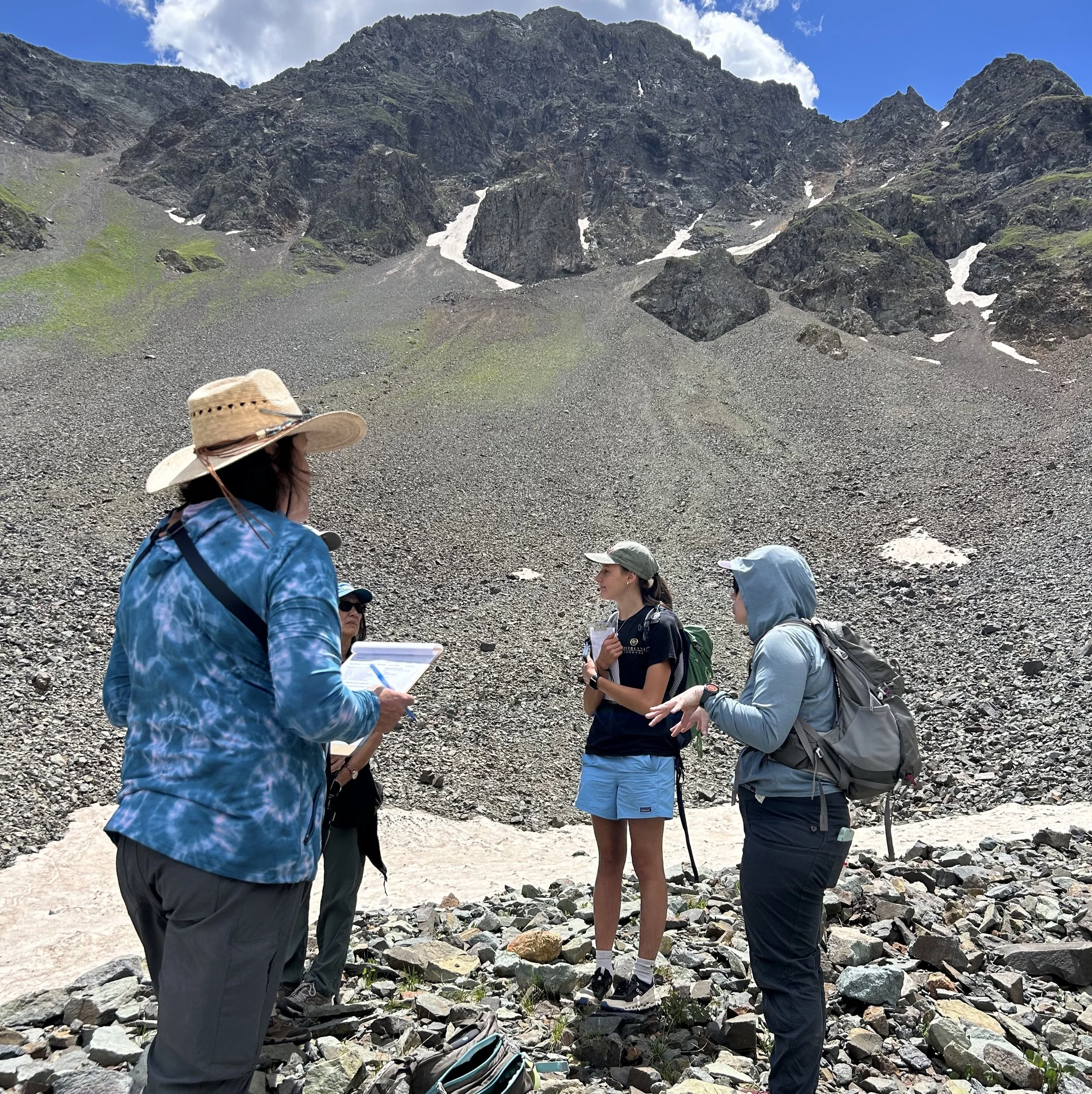 PikaNet Monitoring Training