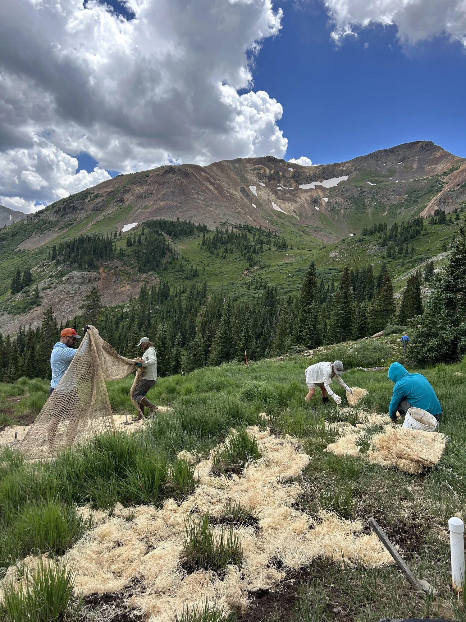 MSI Team — Mountain Studies Institute