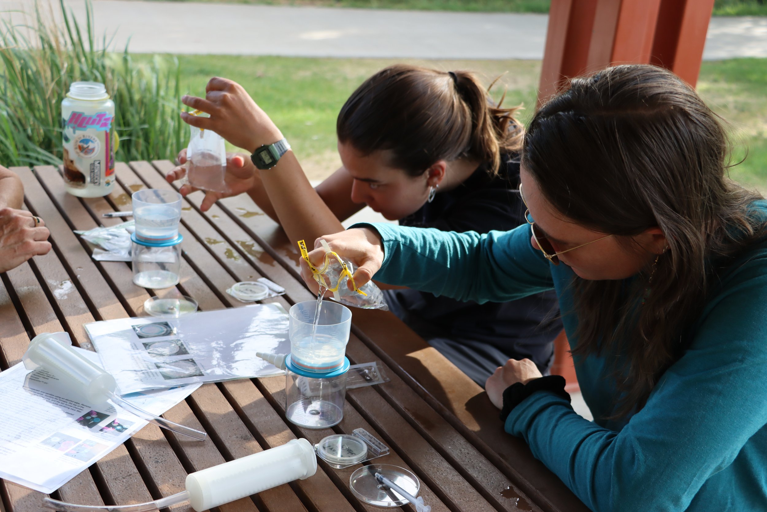 E.coli Sampling Event #2
