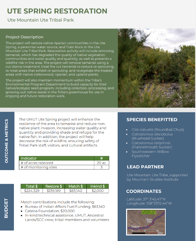 Springtime Restoration Projects Mancos Restoration — Mountain Studies Institute