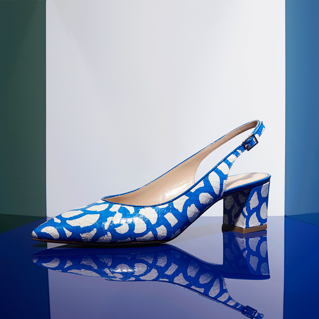 ShoeCrop.gif