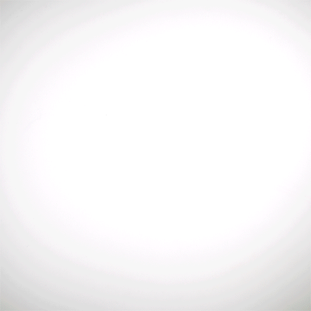 RingGiftAnimation-640_v2.gif