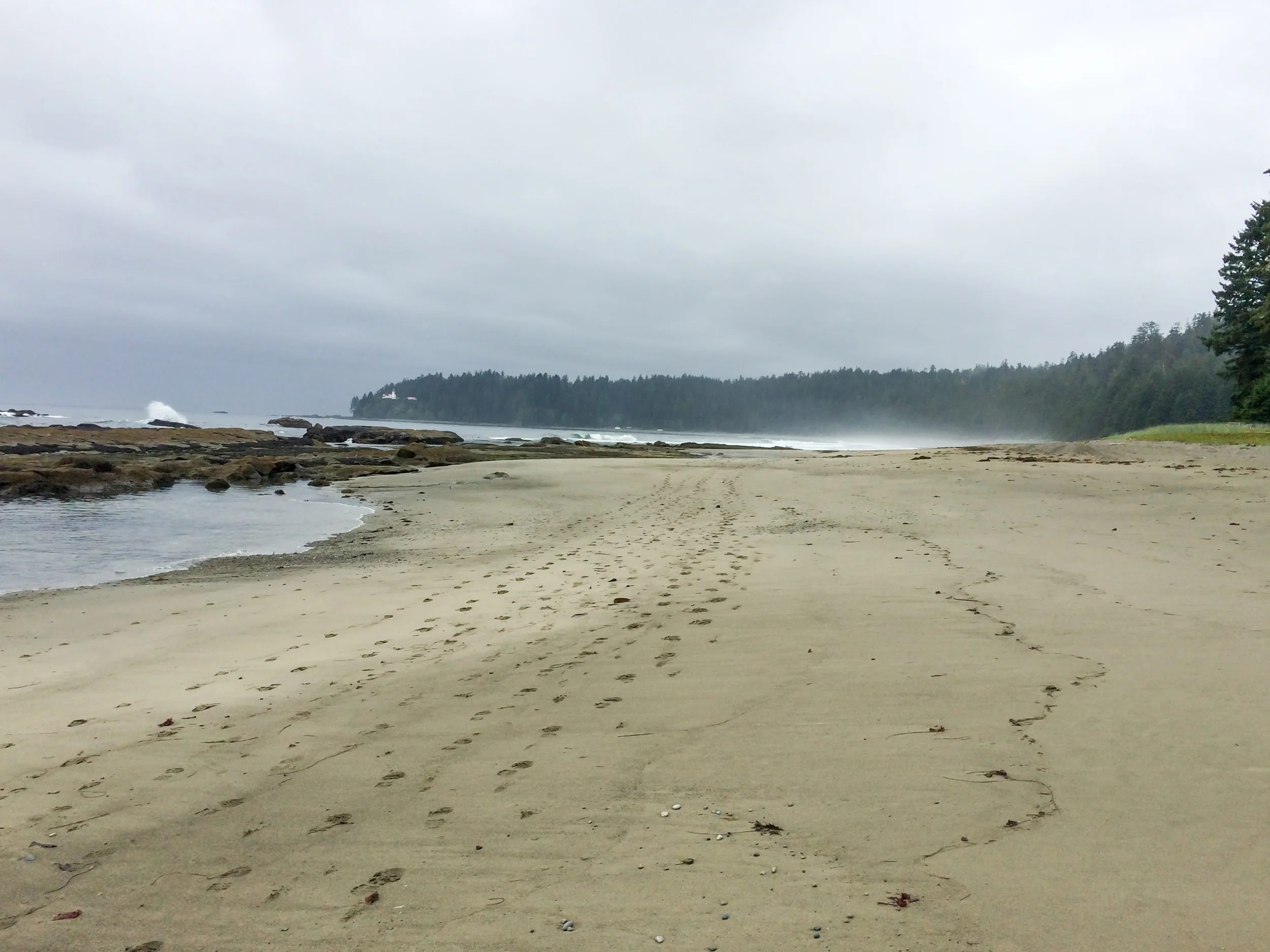 West Coast Trail (17 of 30).jpg