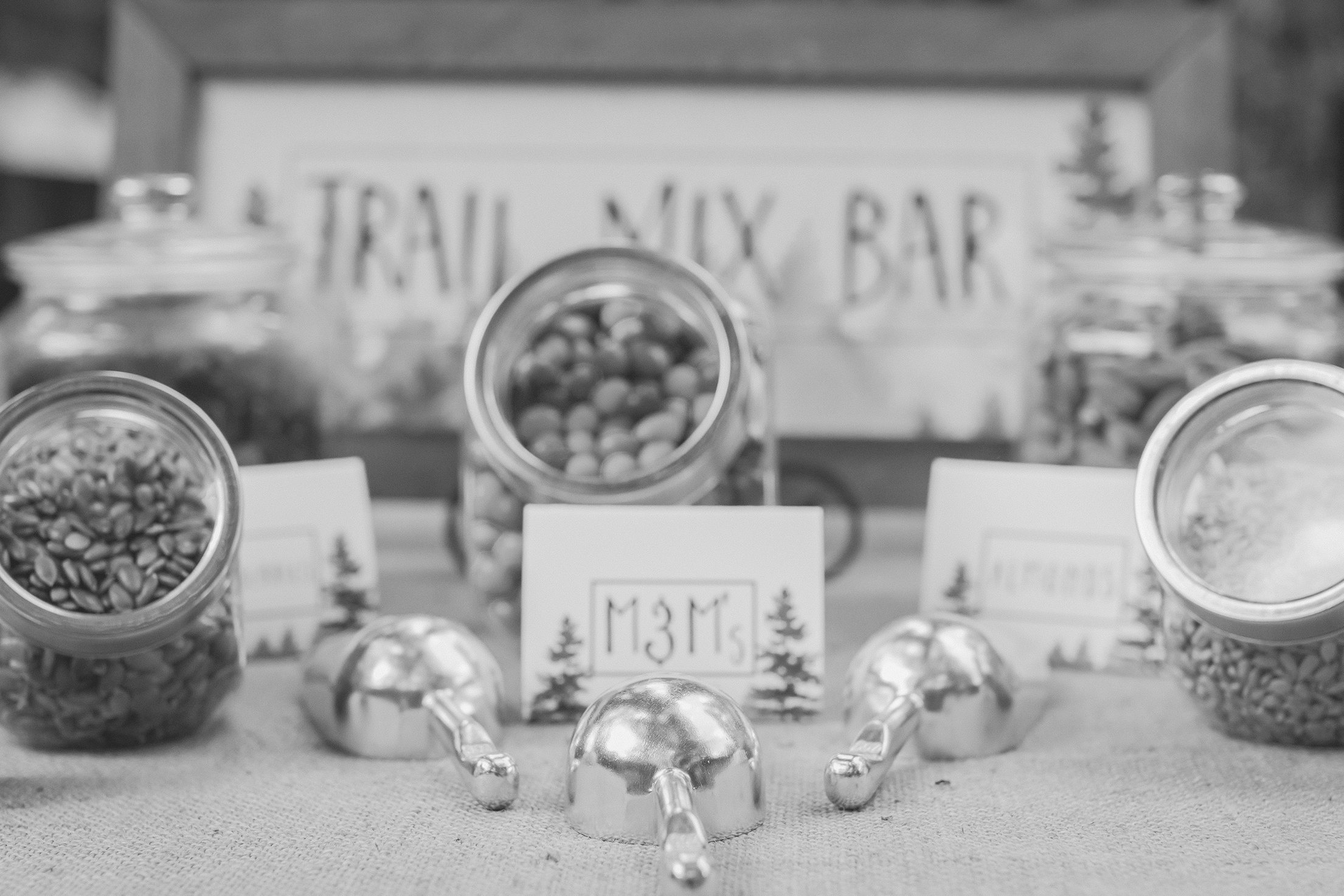 Luke and Alivia BW (669 of 909).jpg