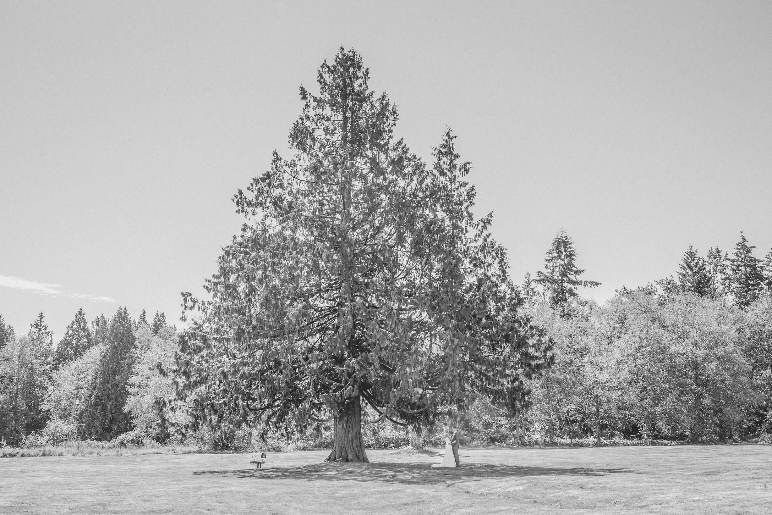 Jon and Danika's Wedding - BW (135 of 995).jpg