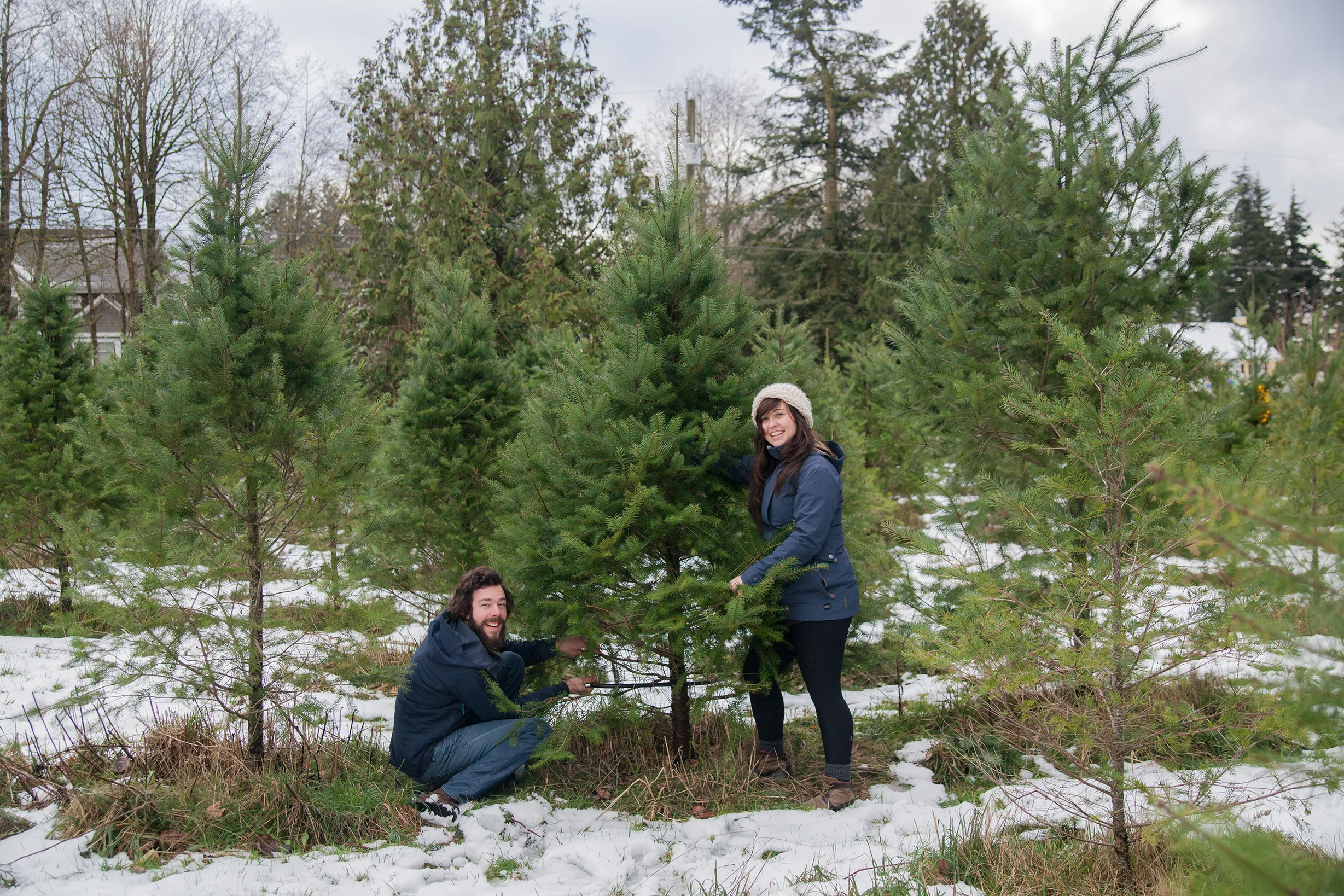 Christmas Tree Extravaganza 2016 (36 of 55).jpg