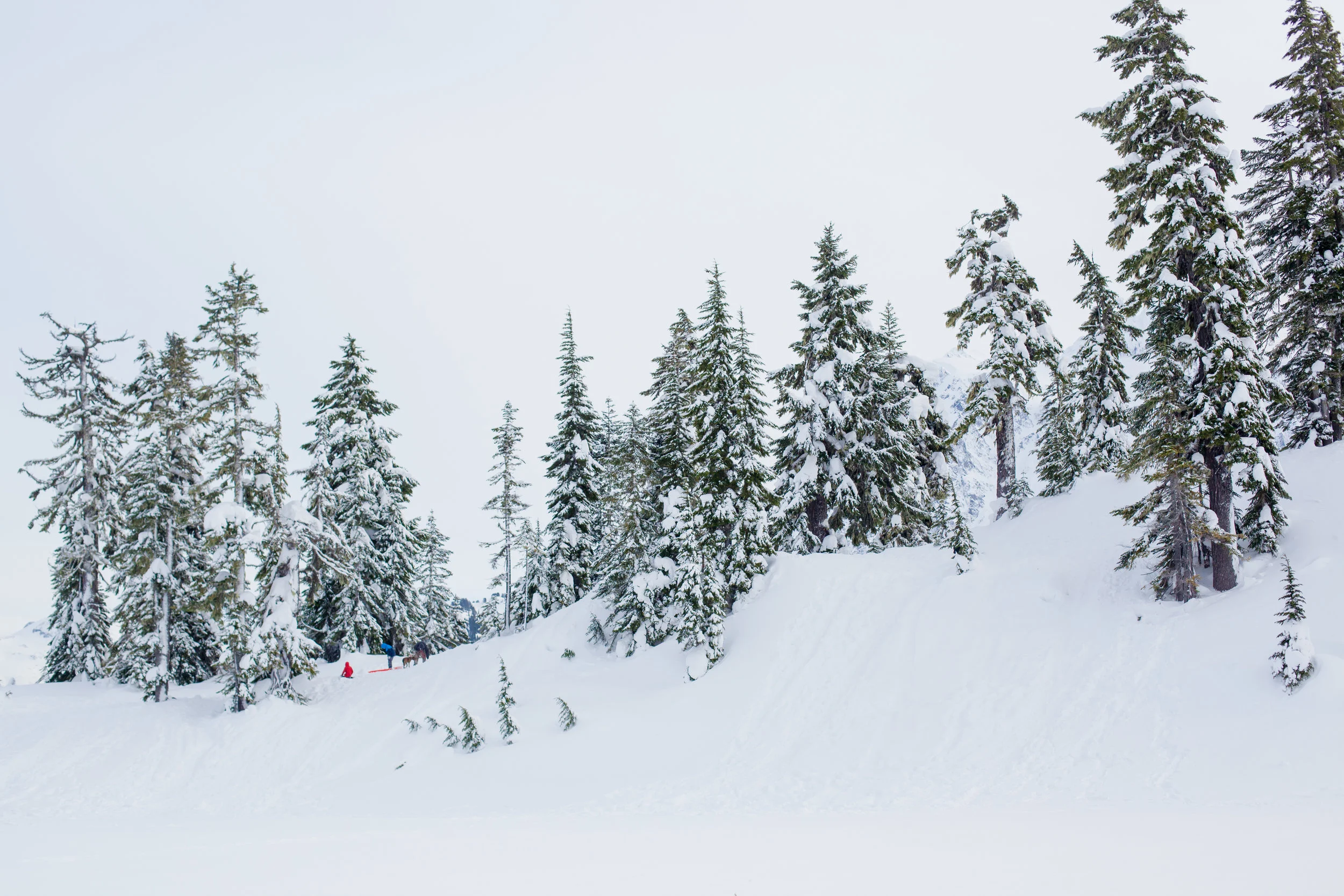 Extreme Sledding 2016 (16 of 143).jpg