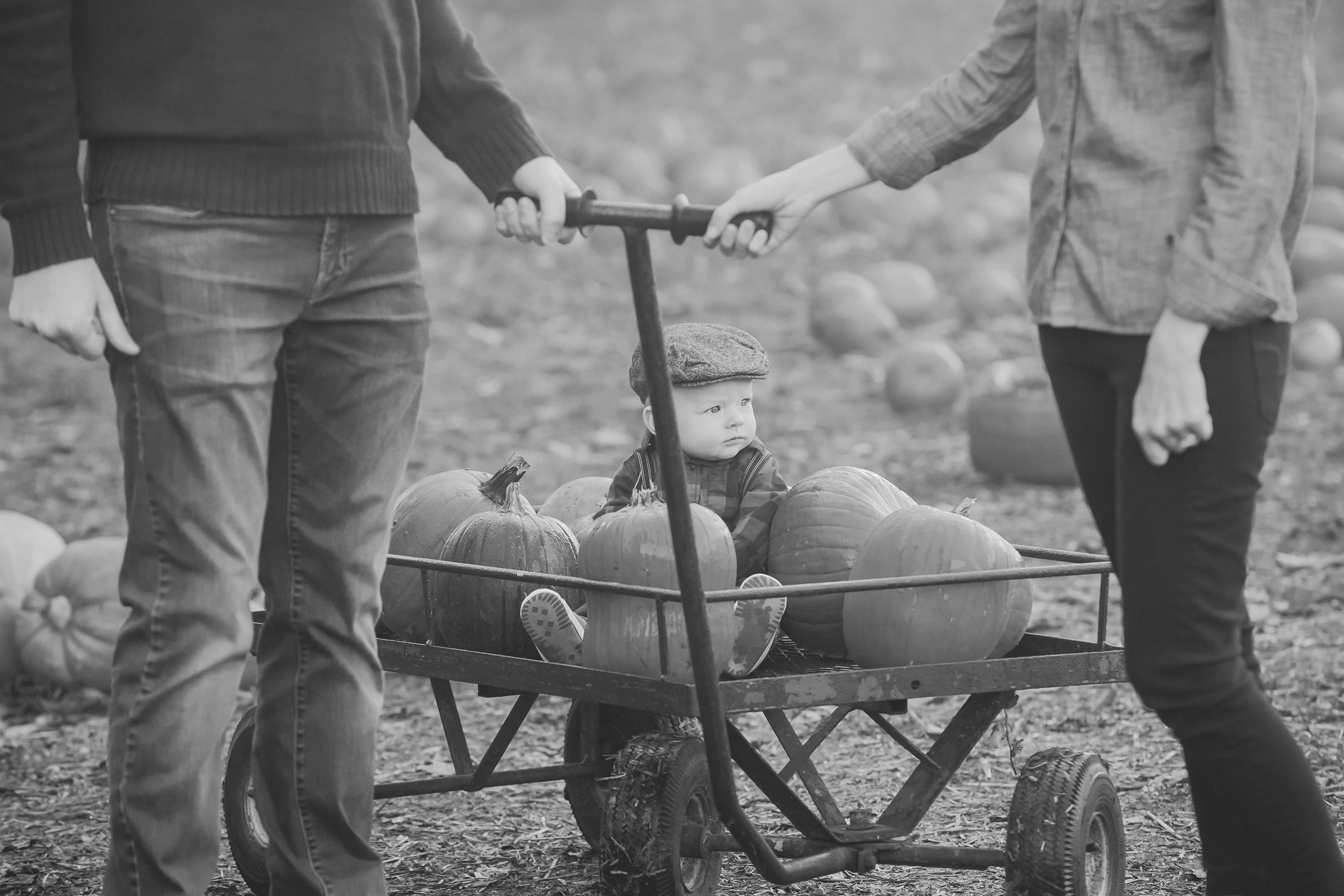 Pumpkin Patch - October 2017 - BW (26 of 119).jpg