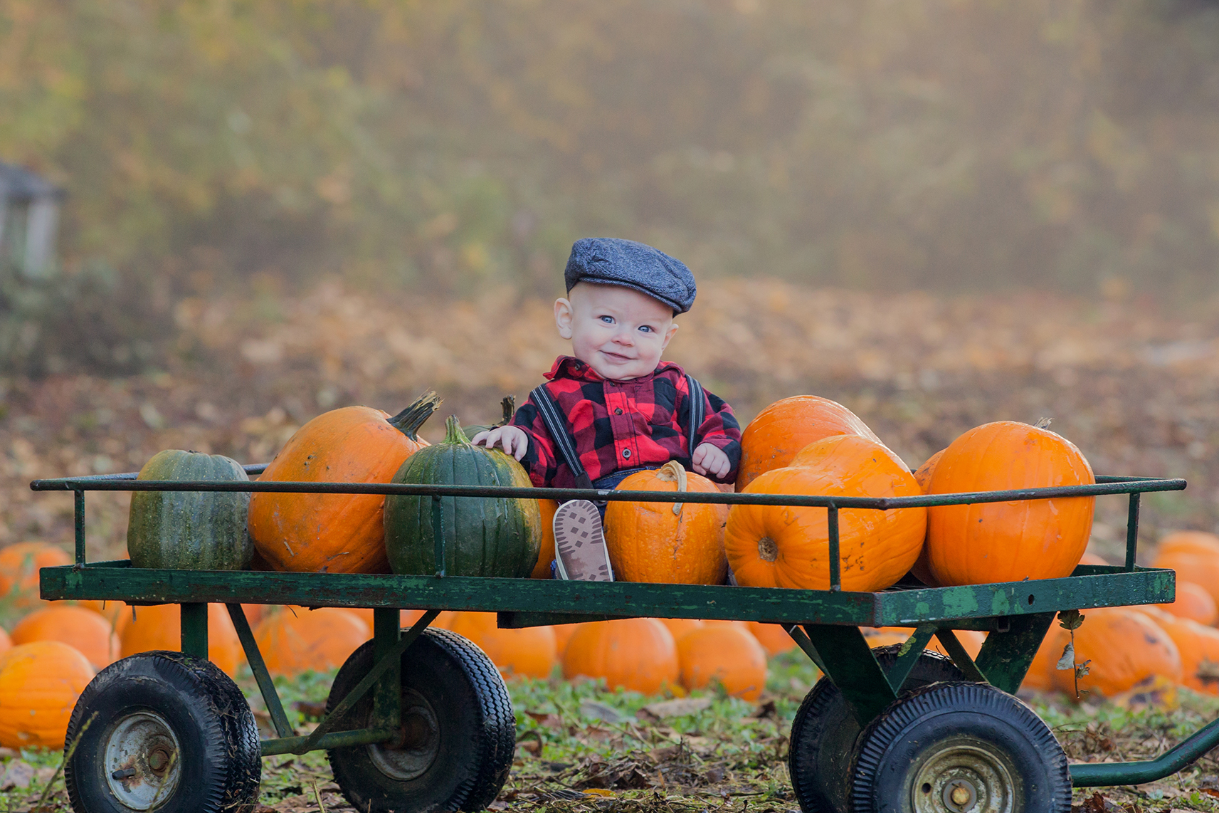 Pumpkin Patch - October 2017 - WT (32 of 119).jpg