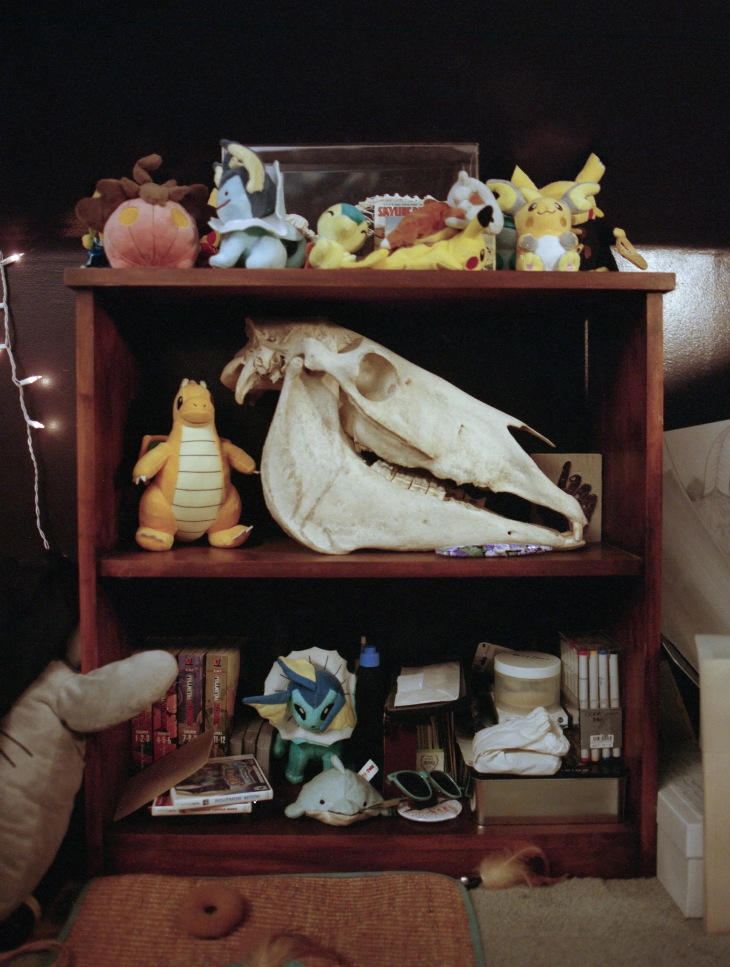 Haley’s skull