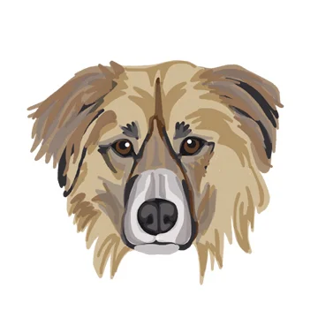 Henry_forWEB copy.jpg