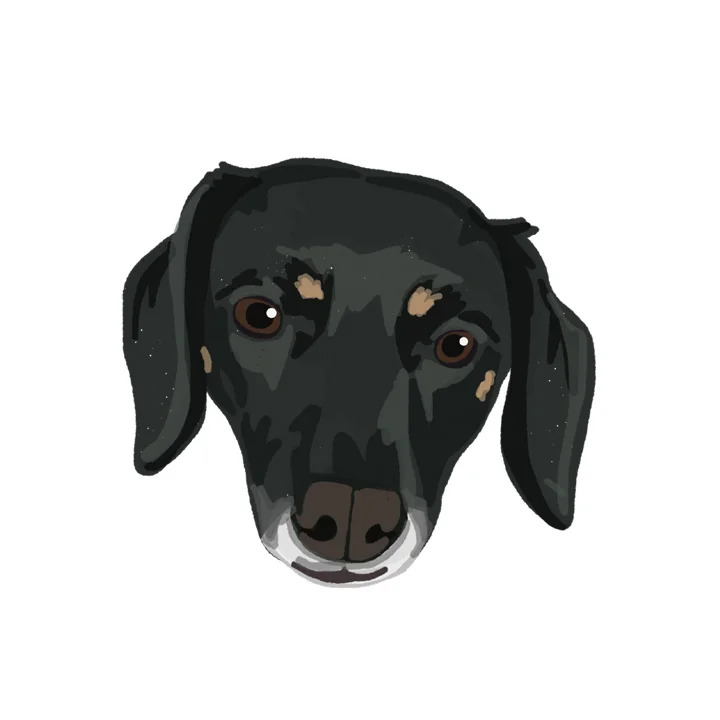 Matilda_forWEB copy.jpg