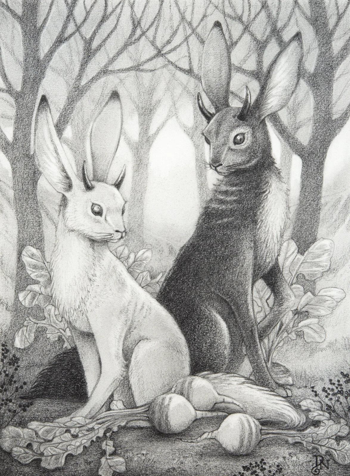 David-Natale-Horned-Hares.jpg