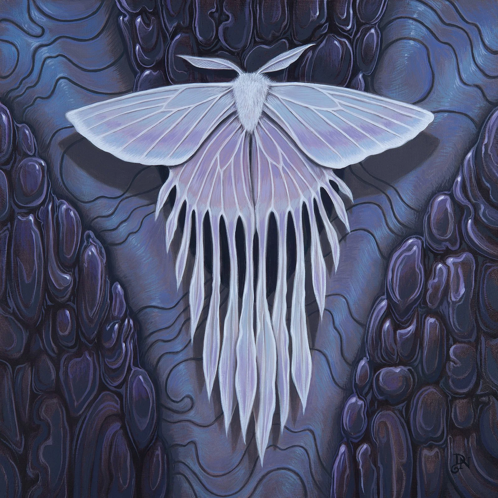 David-Natale-Iridescent-Ghost-Moth-.jpg