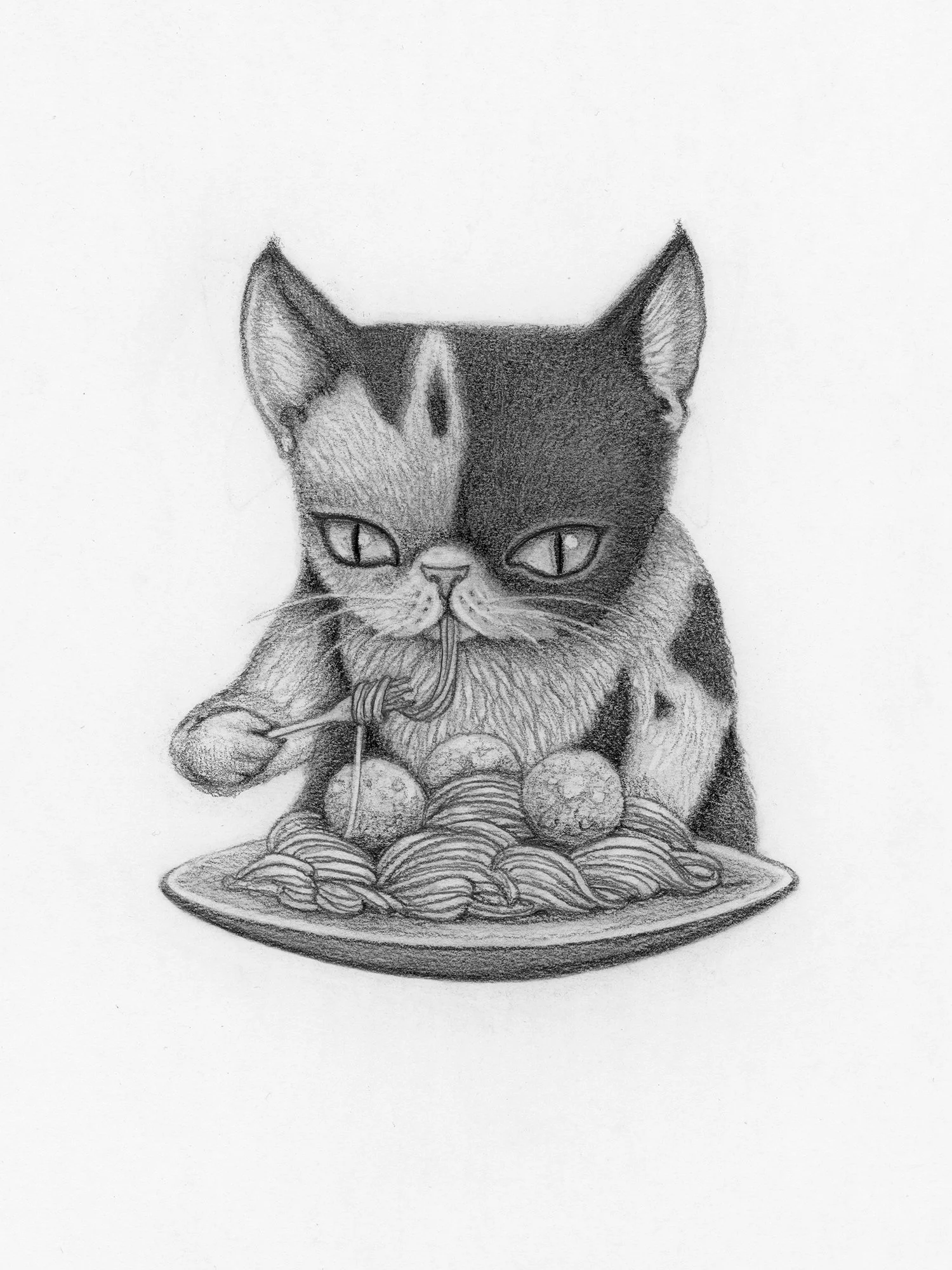 David-Natale-Noodle-Cat-Spaghetti.jpg