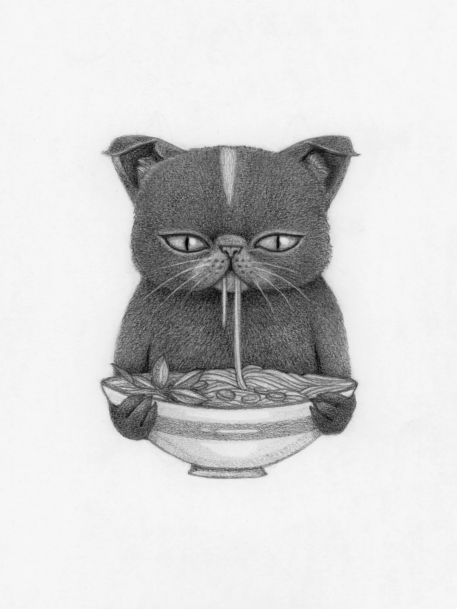 David-Natale-Noodle-Cat-Pho.jpg