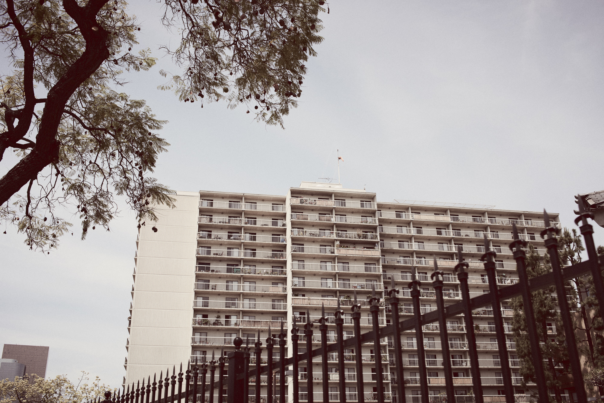 GraceLaloved-1.jpg