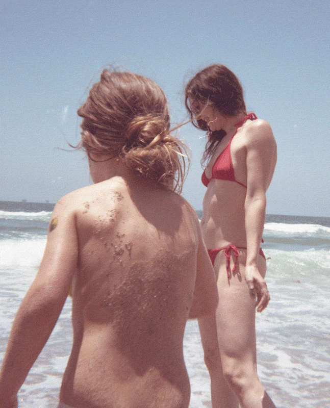 CarpBeach2.gif