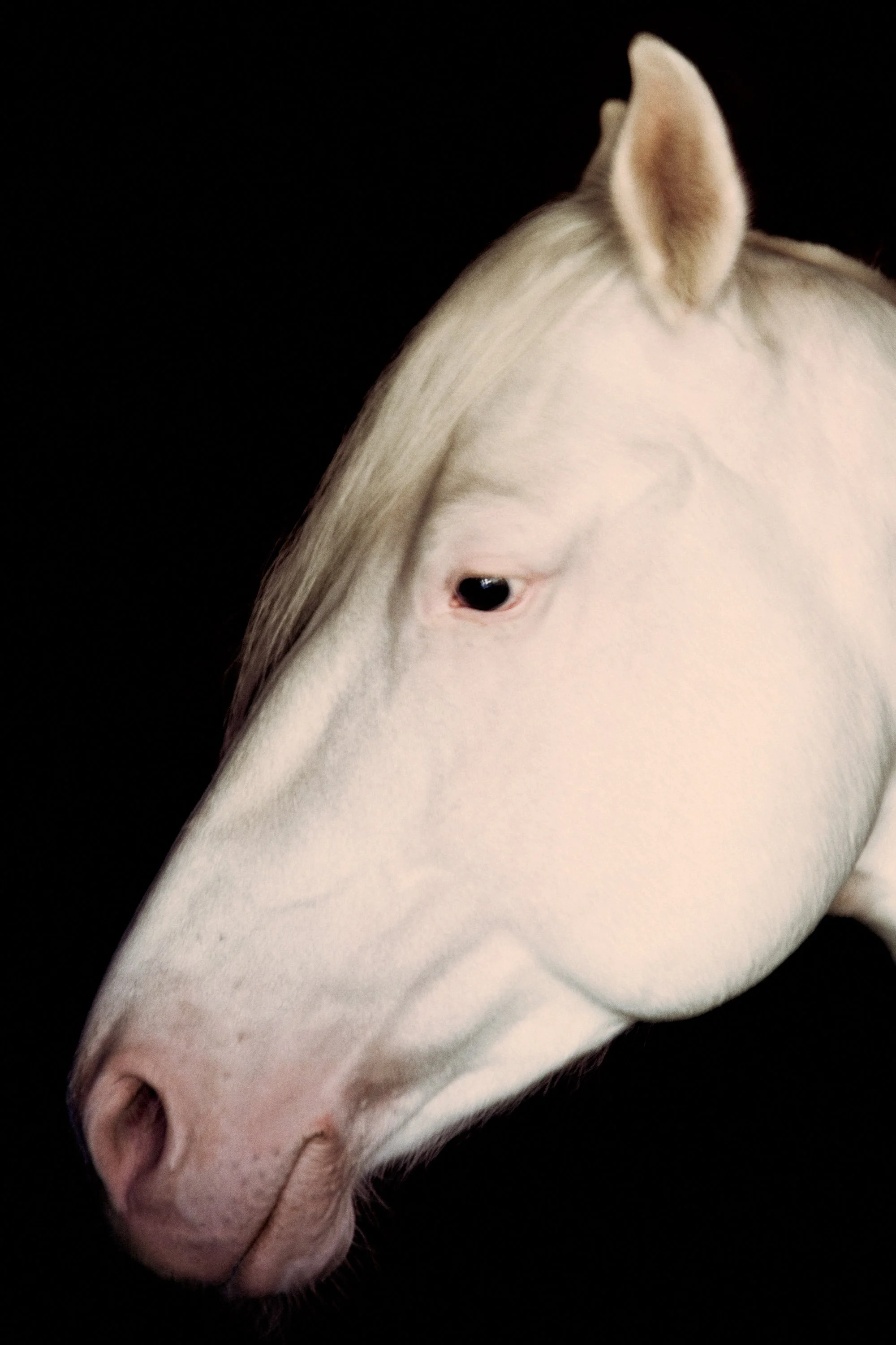 Portraits-47.jpg