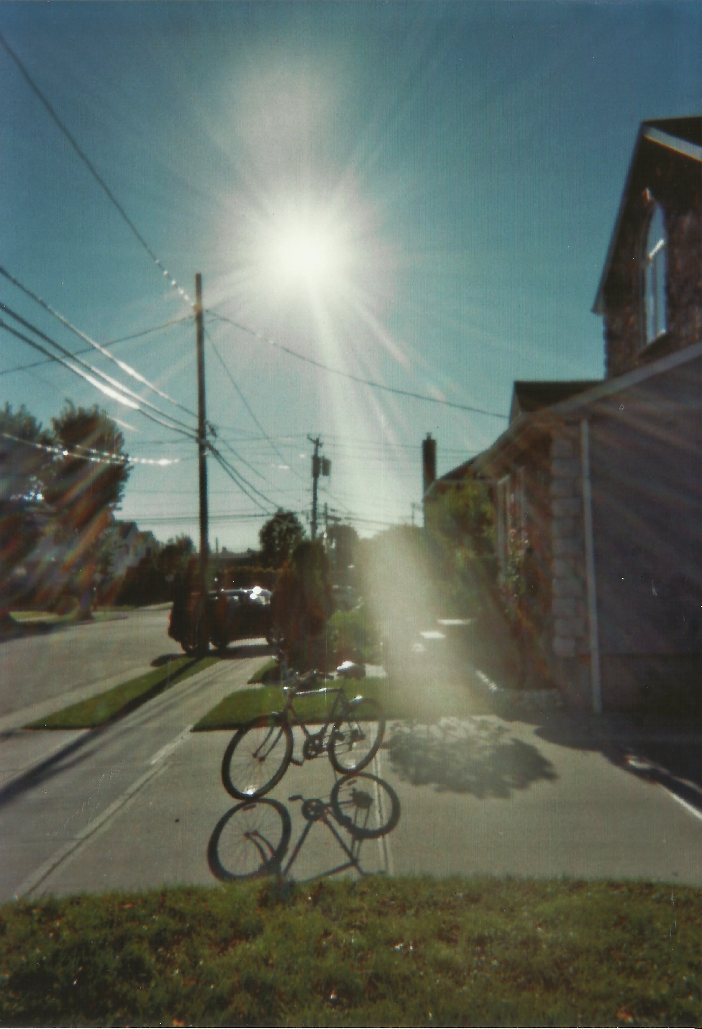 A Perfect Day