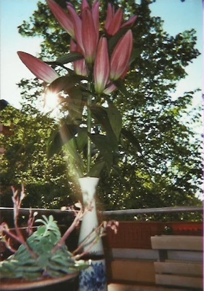 Planted Evidence