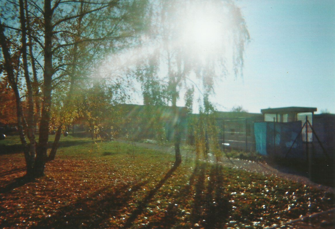 The Other Side of the Fence