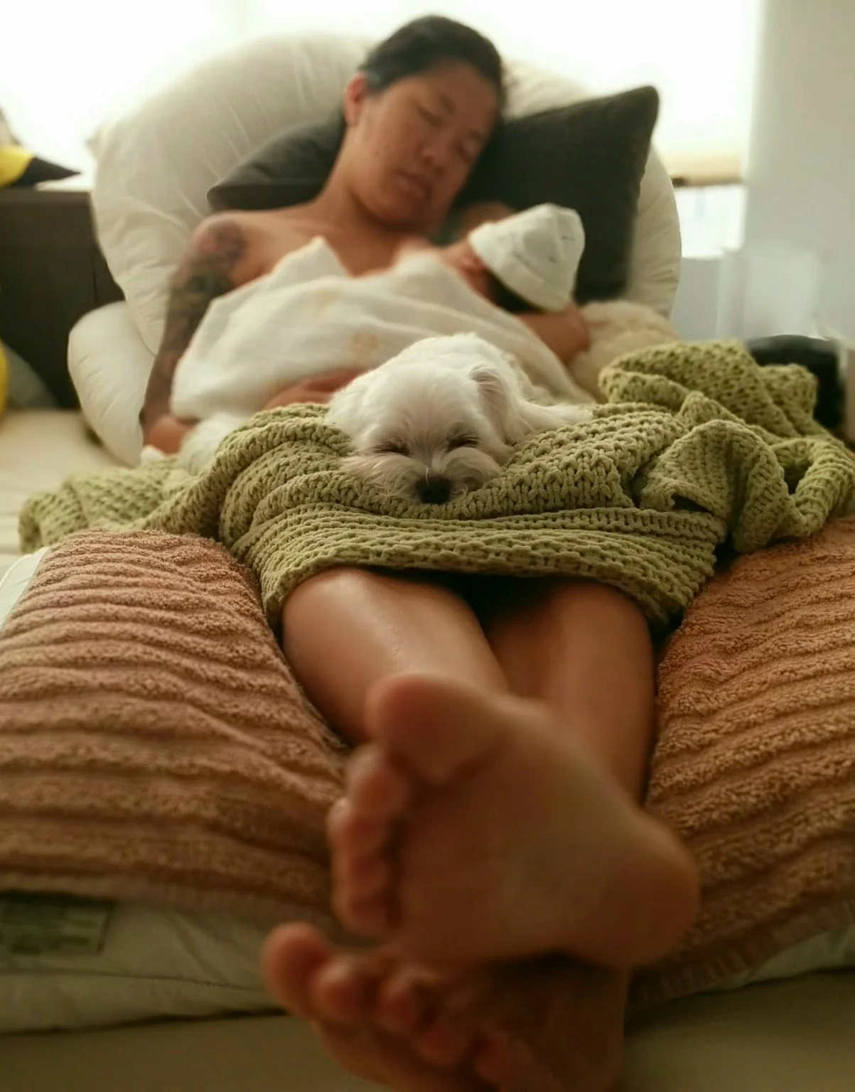Judy_sleeping.JPG