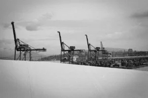 Van_Cranes-300x198.jpg