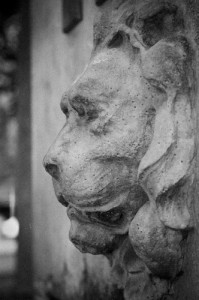 Van_Lion-199x300.jpg