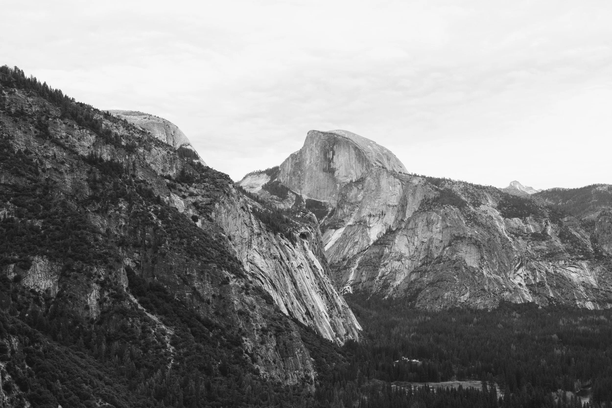 IMG_7649.jpg