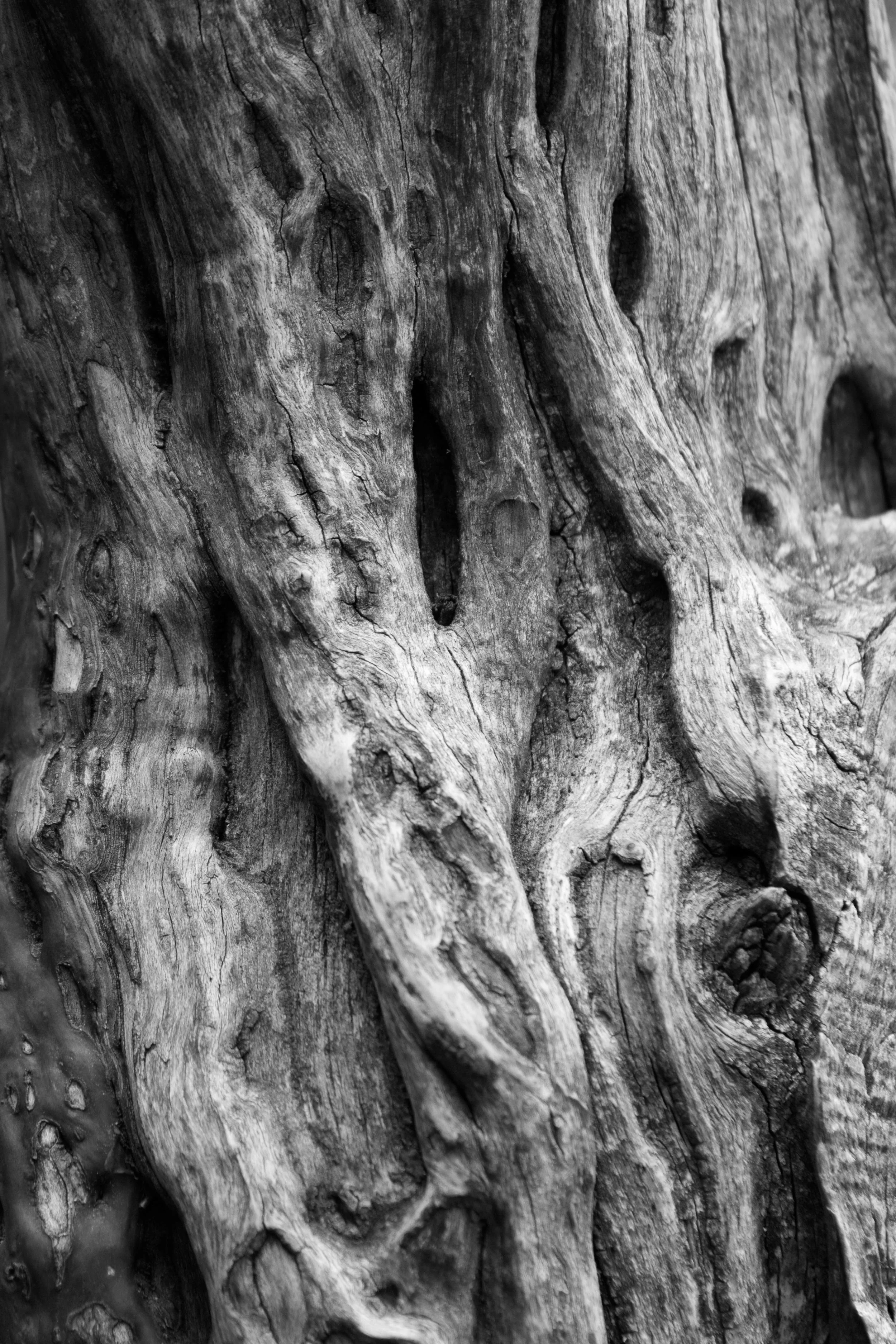 Intrinsic textures (Copy)