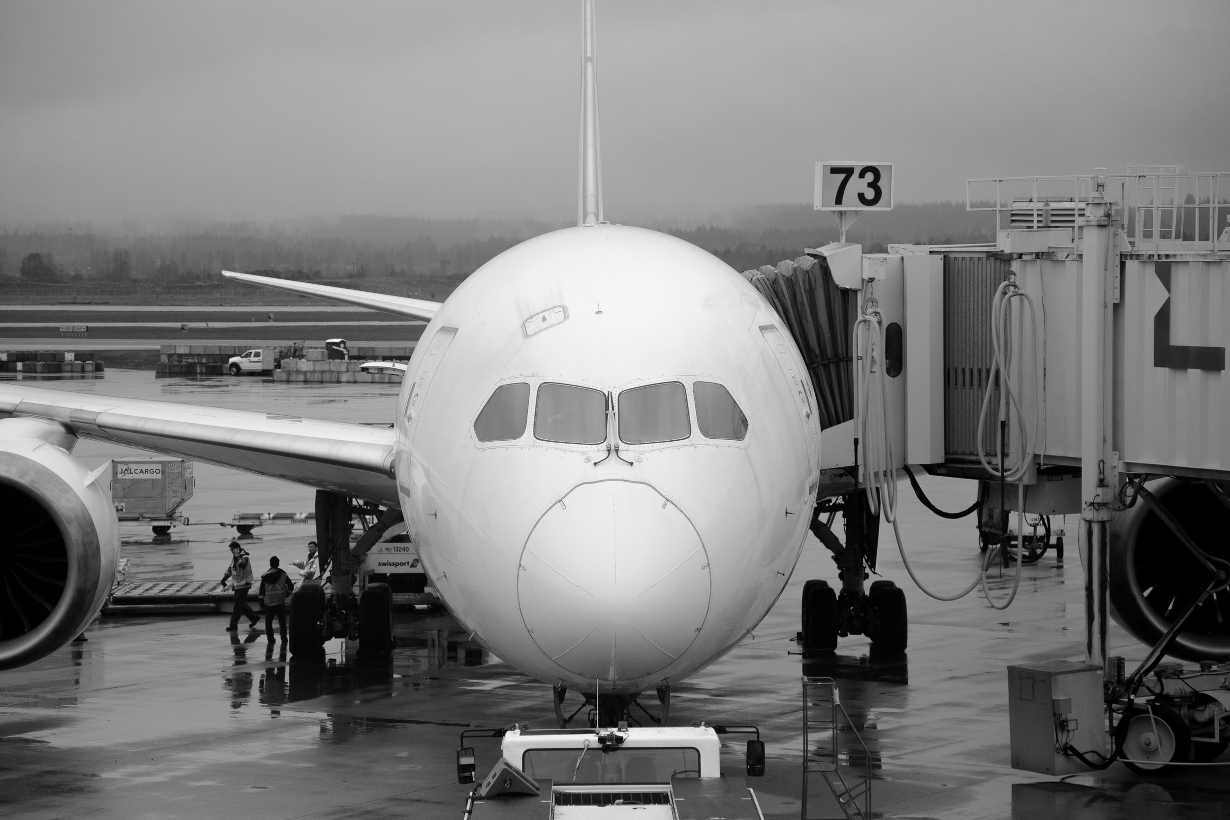dreamliner.jpg