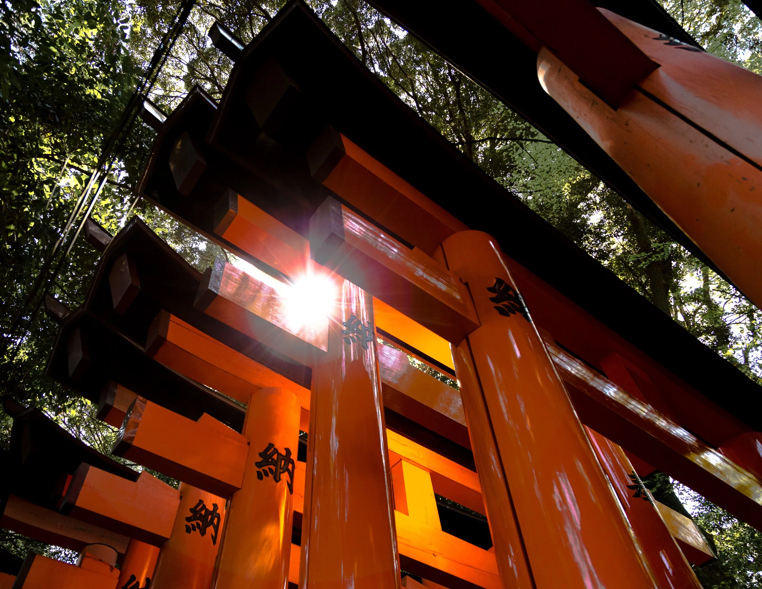 Gates-6525.jpg