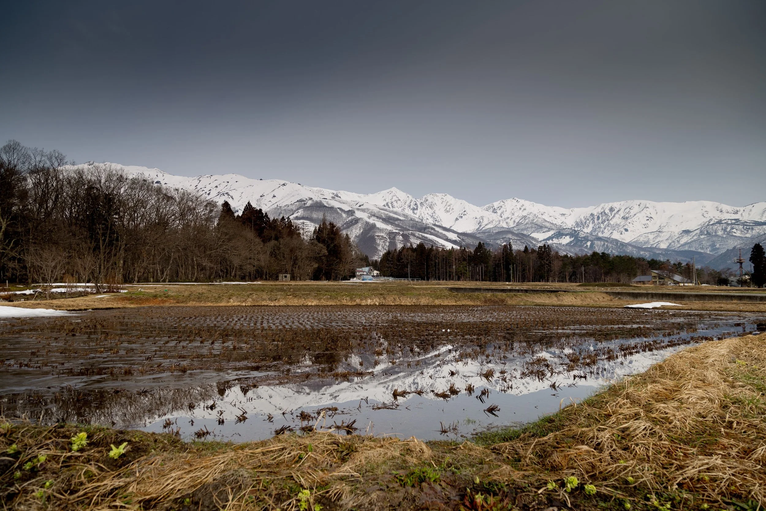 hakuba-4755.jpg