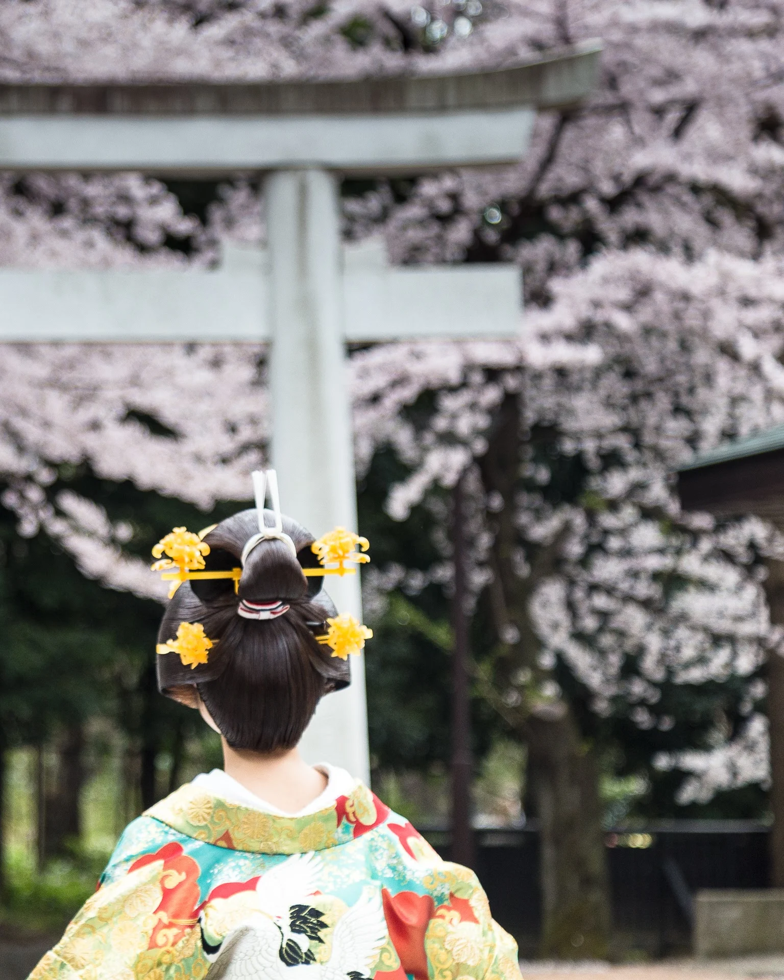 Japan-4215.jpg