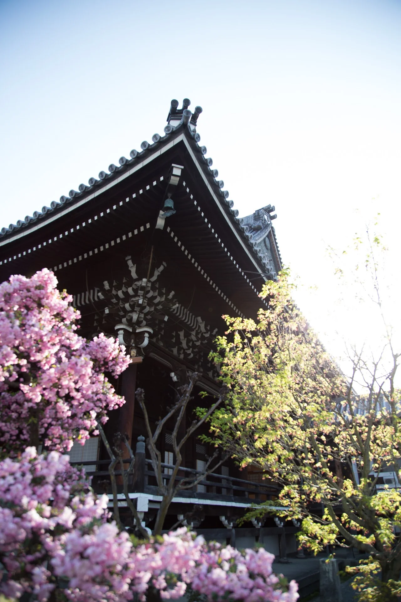 temple-6751.jpg